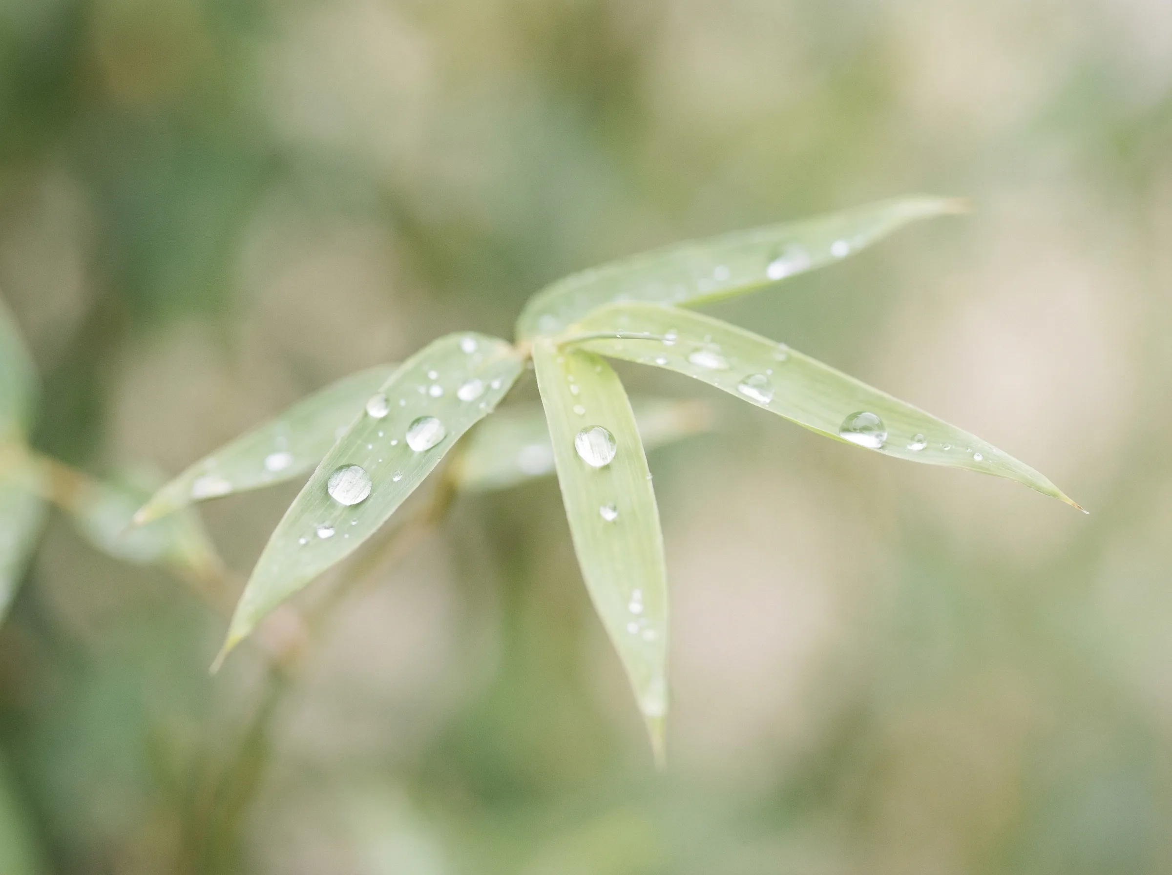 彩票平台 哈希分分彩自然过滤条件